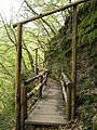 Lieserpfad in der Eifel