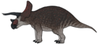 Triceratops horridus