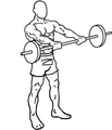 Barbell raise end