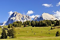 vùng Seiser Alm (tiếng Ý: Alpe di Siusi), vùng lãnh nguyên núi cao Dolomites