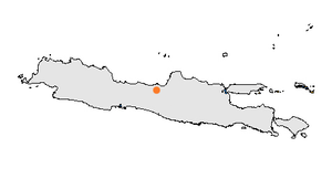 Lokasi Semarang di pulau Jawa.