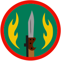 SI&T Insignia