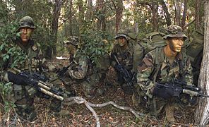 Un Marine américain en tenue camouflée pendant un entrainement.