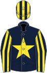 Dark blue, yellow star, striped sleeves and cap