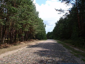Bruģēts meža ceļš Milejčicas gminā