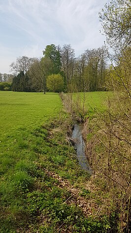 Amelvonnebeek in Plantentuin Meise