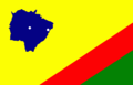 Bandeira de Selvíria