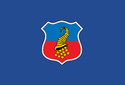 コピアポの市旗