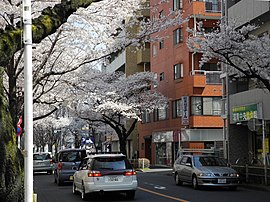 境南町の街並み