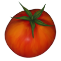 A tomato, a type of berry.