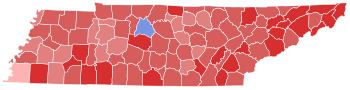 Final results by county