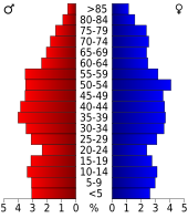 Bevolkingspiramide Giles County