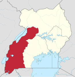 Regione occidentale – Localizzazione