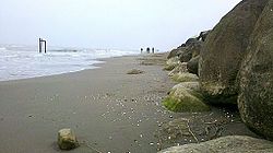 Caspian sea's shore near Nour, Mazandaran