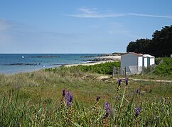 Plage des Sapins