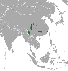 Carte d'Asie avec des taches éparses centrées sur la Chine