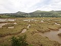 Image 13Salt marshes (from Marine ecosystem)