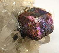 Sebuah spesimen yang terdiri dari kristal kalkopirit berlapis bornit terletak di ranjang kristal kuarsa jernih dan kristal pirit berkilau. Kristal berlapis bornit sampai dengan 1.5 cm.