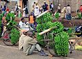 Bananas plantins sus un mercat