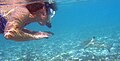 Uno snorkeler con uno squalo pinna nera del Reef (Carcharhinus melanopterus). In rare occasioni, specialmente in caso di bassa visibilità, questa specie di squalo può mordere l'uomo, scambiandolo per una preda. Normalmente sono invece timidi e indifesi.