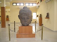 Colossal Buddha head, in the Ratnagiri Museum