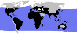 Maalla elävien kilpikonnien levinneisyys mustalla, meressä elävien sinisellä