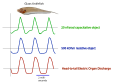 Electroreception of Capacitative and Resistive Objects in Glass knifefish