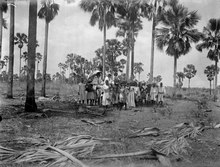 Trip to Sainte Marie de Marovoay in 1906 during Walter Kauderns first visit to Madagascar.