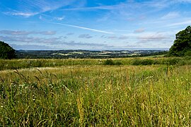 Campagne lailléenne.