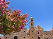 Crape myrtle during summer in Sombrerete, Mexico