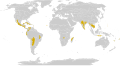 dry forest regions