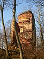 Burg Stuer, ab Ende des 13. Jahrhunderts bis 1660 Stammsitz, das Gut bis 1945 im Besitz der Familie