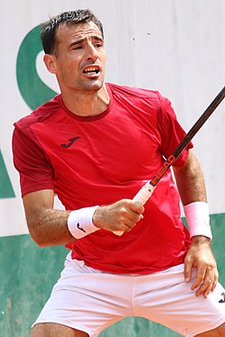 Ivan Dodig smíšená čtyřhra