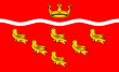 Vlag van East Sussex