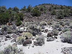 A wavecut platform of Lake Russell