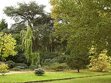 Trompenburg Tuinen & Arboretum, Rotterdam