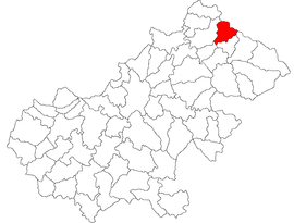 Location in Satu Mare County