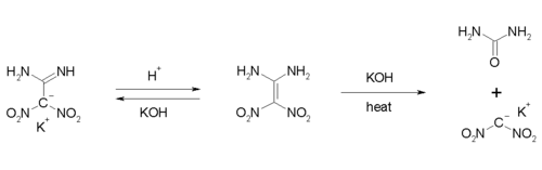 Protolysegleichgewicht und basische Hydrolyse