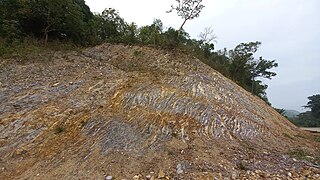 Another outcrop of heavily-deformed Liminangcong chert in Guadalupe, Coron