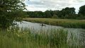 Kajaksejlads på Aarhus Å ved Åby. Her var der anlagt havn i Vikingetiden før fjorden blev til Brabrand Sø med udløb via den å vi kender i dag.