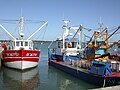 Vue du port à la fête de l'huître de Locmariaquer