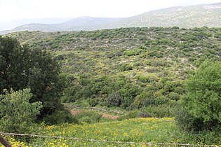 Dale directly below the site of Selamin