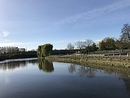 View of the water at Three Mills