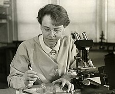 Barbara McClintock ve své laboratoři (1947)