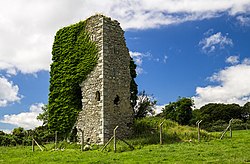 Ruined tower house near Adamstown