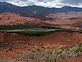 Cafayate