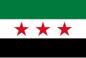 Flag of Syrian opposition