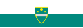 Flag of Urban Municipality of Murska Sobota