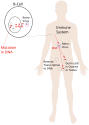 Edward J. Steele's proposed Neo-Lamarckian mechanism