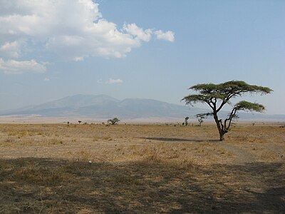 malaltebenaĵoj en Serengeti